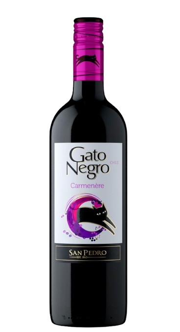 Gato negro